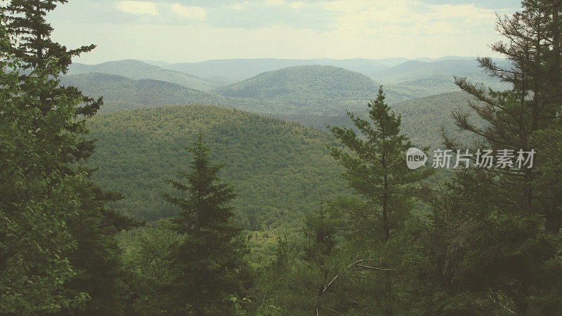 Adirondack Mountain Landscape with Pine Trees and Tree Covered Hills